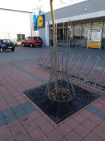 Бетонов фундамент квадрат за вграждена рамка и решетка за защита кореновата система на дърво